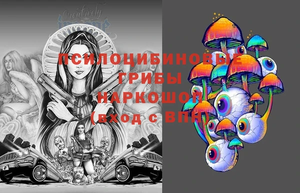 дмт Алзамай
