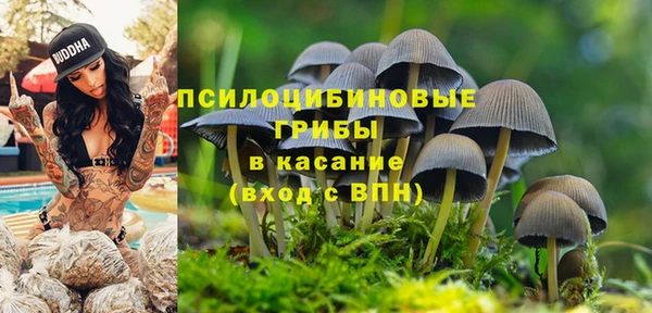 экстази Алексеевка