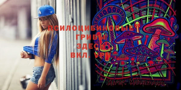 дмт Алзамай