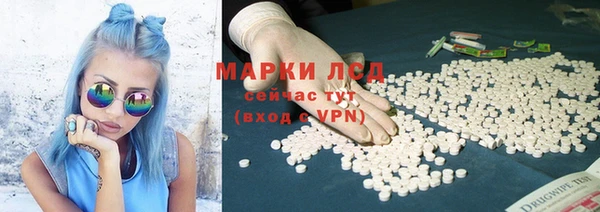 дмт Алзамай
