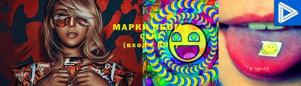 дмт Алзамай