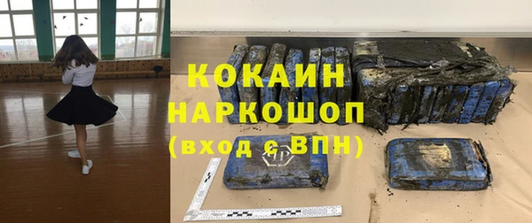 дмт Алзамай
